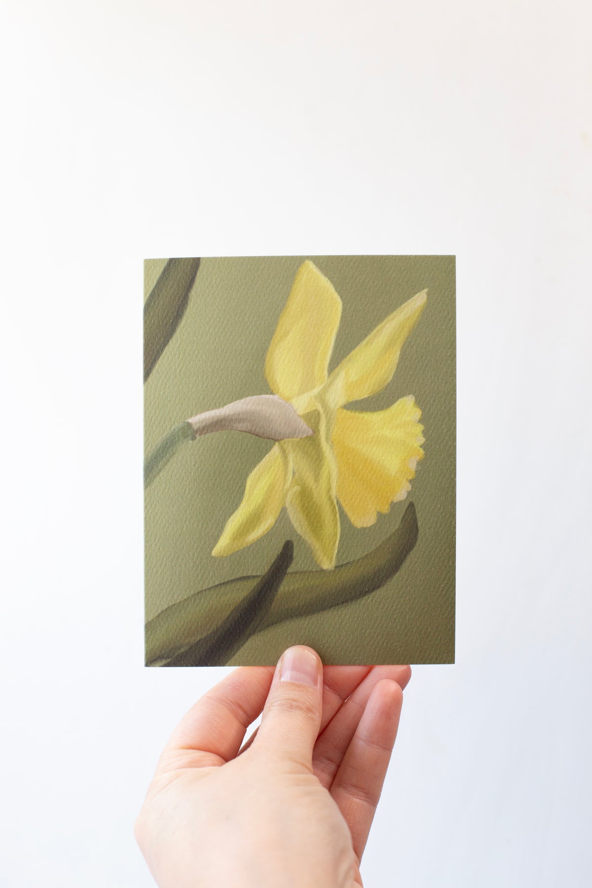 A Single Yellow Daffodil on a green background greeting card on textured paper.